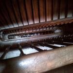 Escalier sous verrière